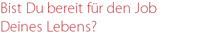 Bist Du bereit für den Job Deines Lebens?
